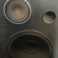 Pioneer speaker