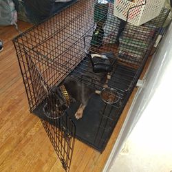 Dog Wirer Crate