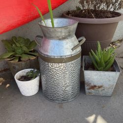 Succulents Pots Milk Jug Planters