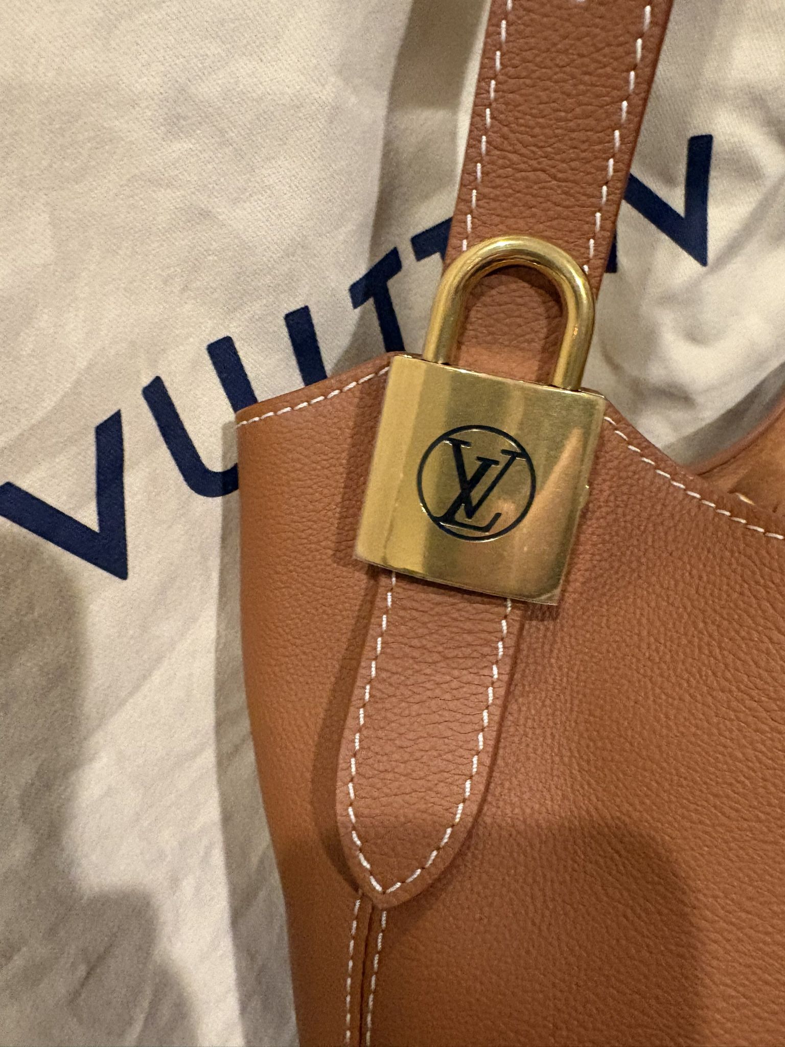 Louis Vuitton Bag