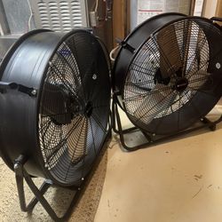 Fans 2 Huge fans $100 Each 