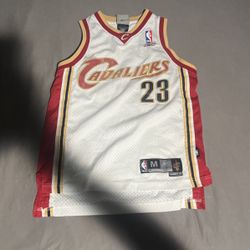 LeBron James NBA Jersey