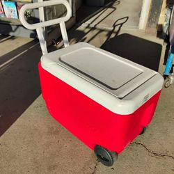 38 quart igloo Wheelie cooler