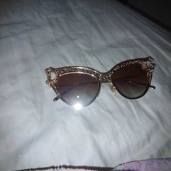 Dg Alta Moda Collection 