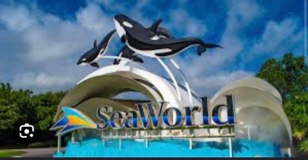 Sea World 20 Dlls