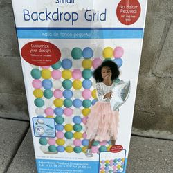 Small Ballon Backdrop