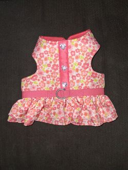 Dog harness XS