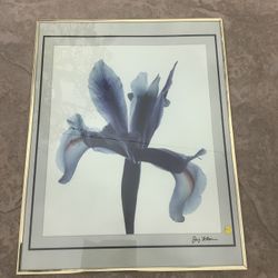 Framed Art Flower 28x22in