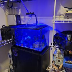 Saltwater Tank Need Gone Asap