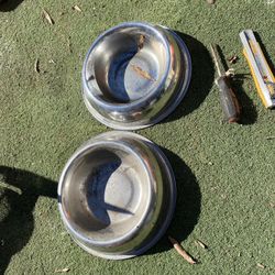 Dog Plates 