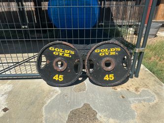 Pair of Gold’s Gym 45 lb Olympic Weight Plates