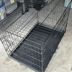 Free Collapsable Dog Crate