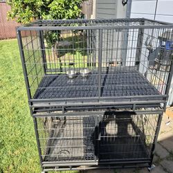 Dog Crate Kennels 
