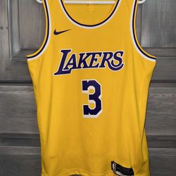 Los Angeles Lakers Jersey / Anthony Davis #3 / Size L