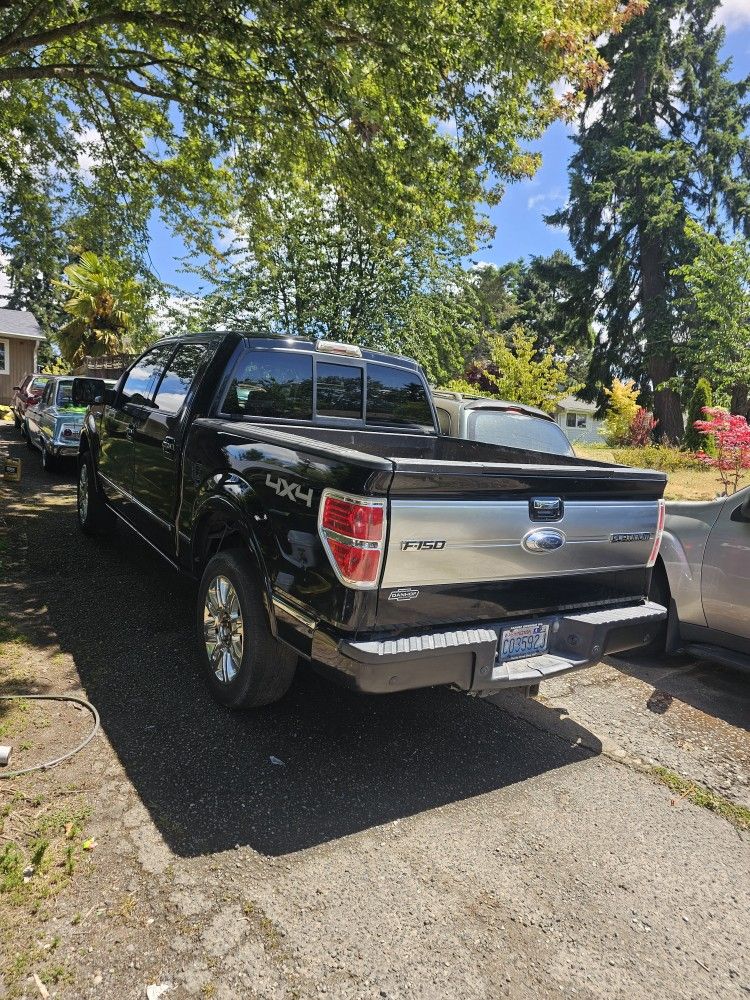 Ford 150 Platinum 2010