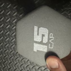 15 Lb Dumbell 