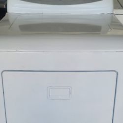 high Capacity Amana dryer