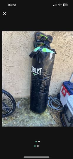 Punching Bag With Gloves
