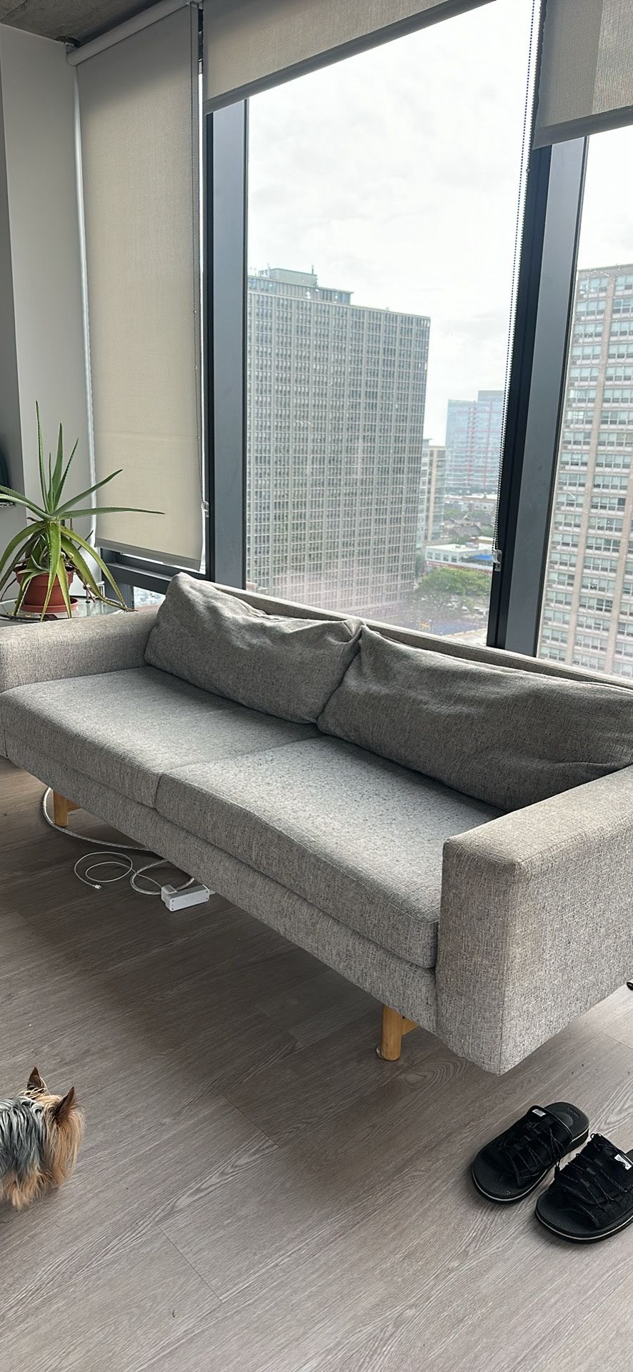 FREE COUCH