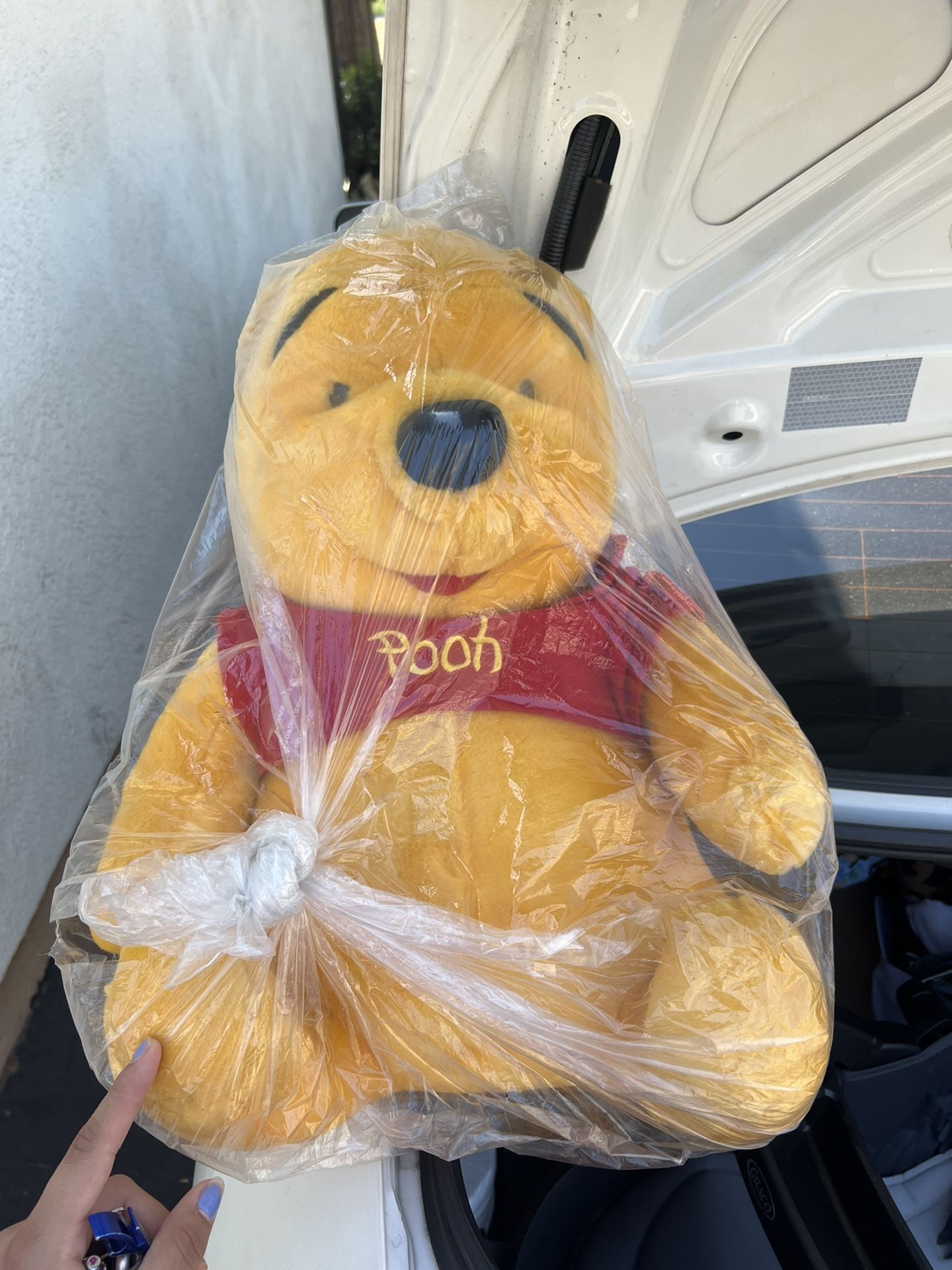 Winnie The Phoo