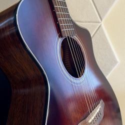 BREEDLOVE ORGANIC COLLECTION ACOUSTIC GUITAR 🔥