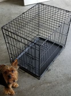 New animal kennel