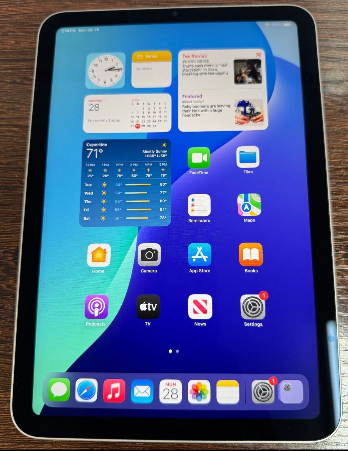 iPad Mini 64GB