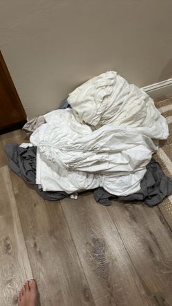 Sheets all sizes FREE!