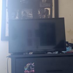 24 Inch Insignia Tv