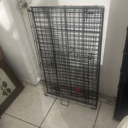 Medium Dog Caye Good Condition