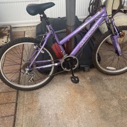 Bike magna, 24 Inch 
