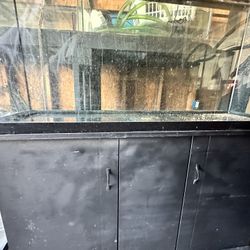 55 Gallon Fish Tank & Stand 