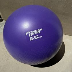 Fitness gear weighted stability 65cm ball 