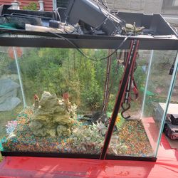 Large aquarium 