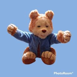 Hasbro Beauty Tales T.J. The Interactive Talking Singing Plush Bear 