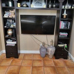 Home Entertainment Center/Bookcase 