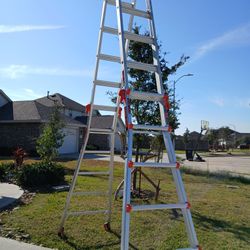 M26 Velocity Multiposition Ladder