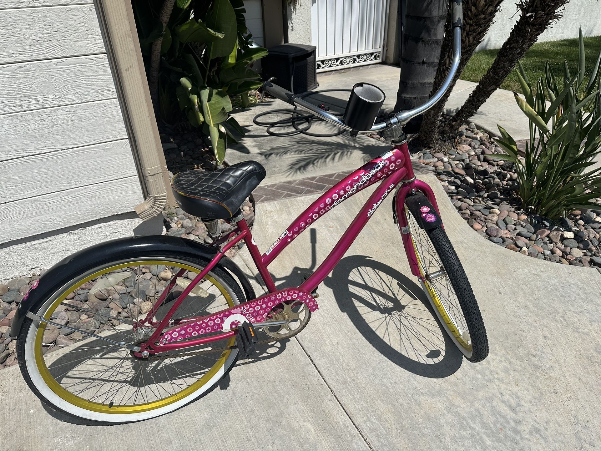 Used Beach Cruiser Just Needs New Tubes