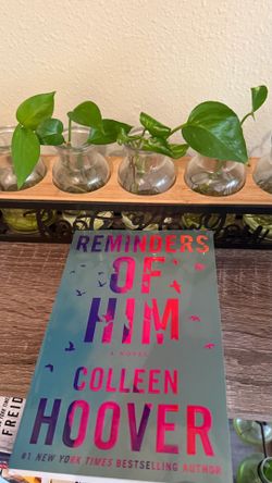 Reminders of Him by Colleen Hoover book