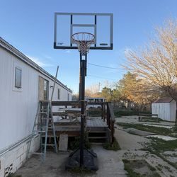 Lifetime Basketball Hoop