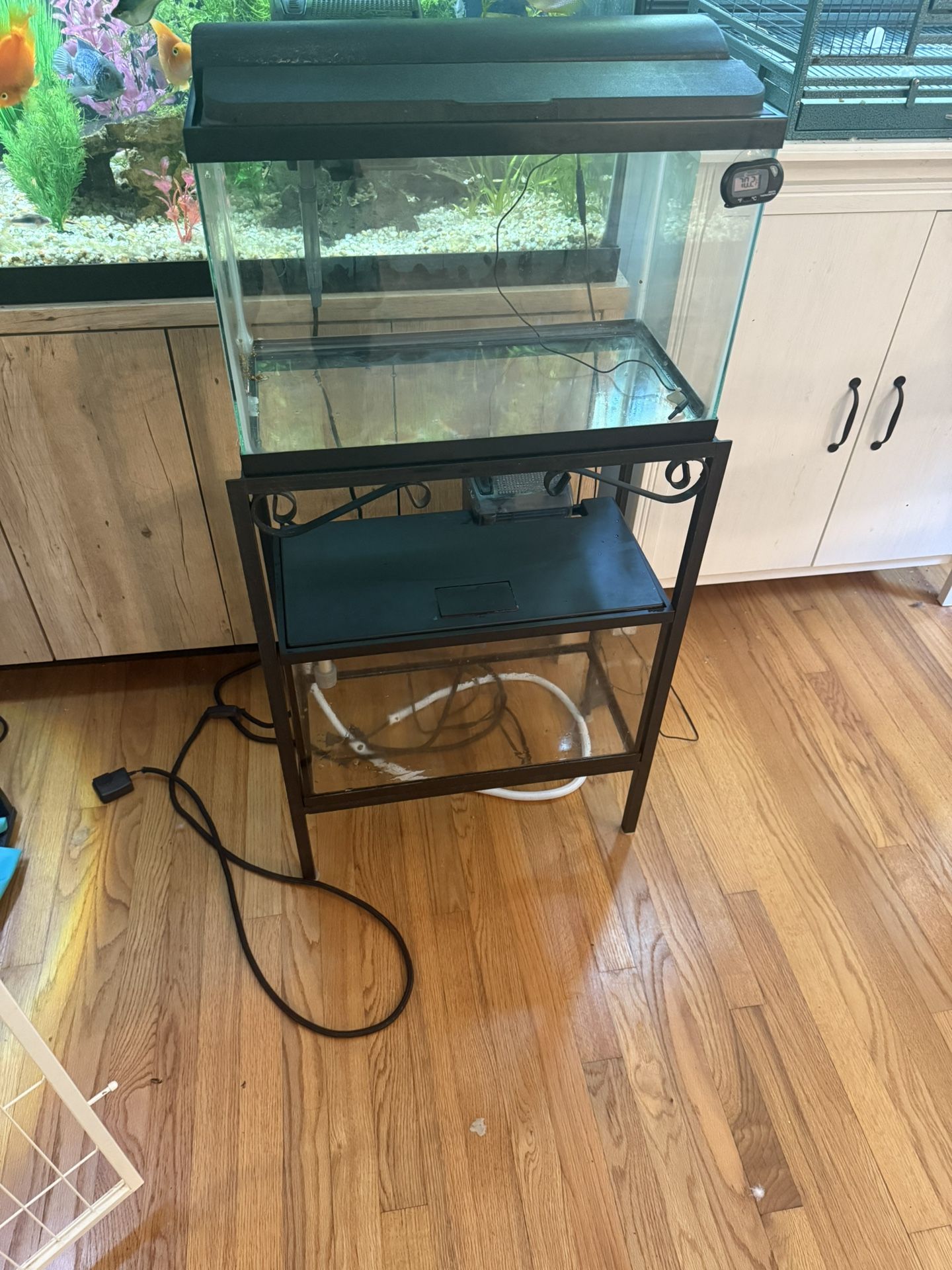 Double 10 Gallon Aquarium With Filtration And Mostly Everything You Need
