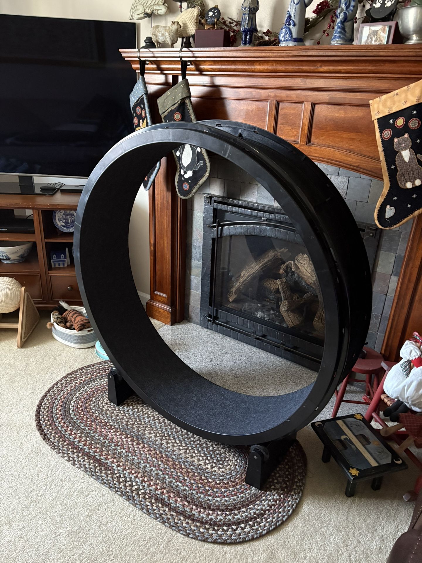 One Fast Cat Cat Wheel