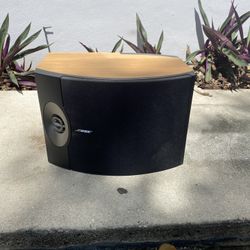 Bose 301 V Speakers