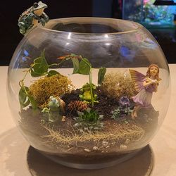 Nice Terarium With Plants And Figurines