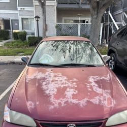 1999 Toyota Corolla