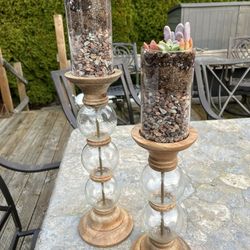 Live Succulent Decor/Gift