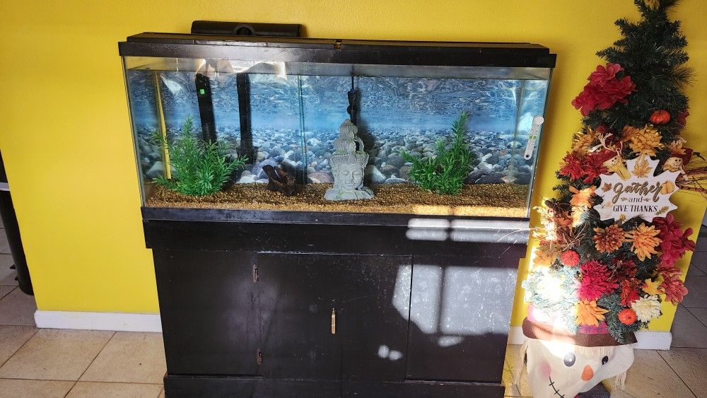 FISH TANK 60 GALLONS GONE TODAY!! 