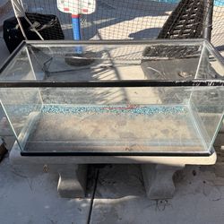 Free fish tank