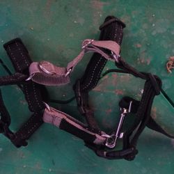 Dog Harness