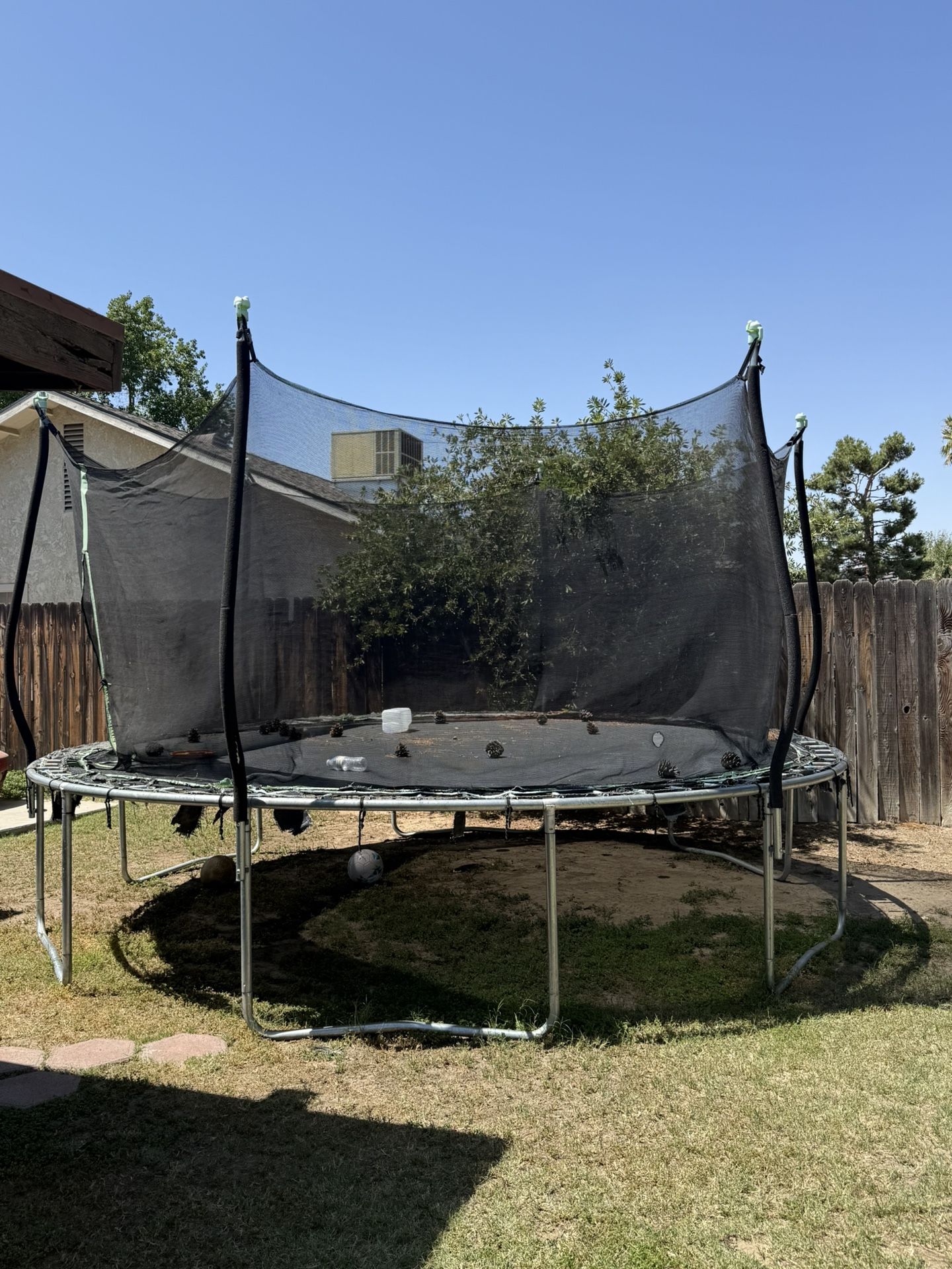 Trampoline